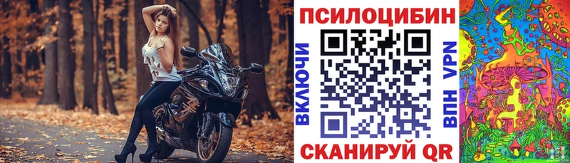 Псилоцибиновые грибы GOLDEN TEACHER  Гурьевск 