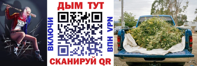 Бошки марихуана Amnesia  Гурьевск 